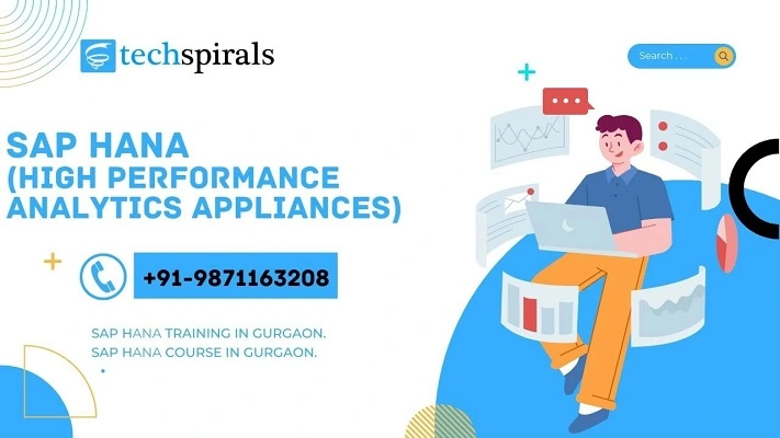 SAP HANA (High Performance Analytics Appliances)